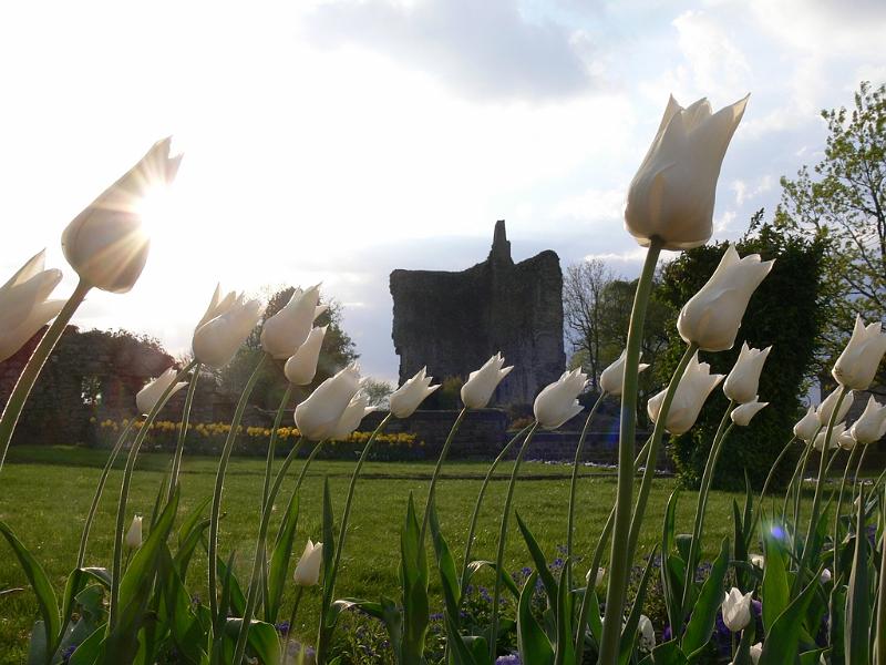 Mont Saint Michel 2010 - 242.jpg
